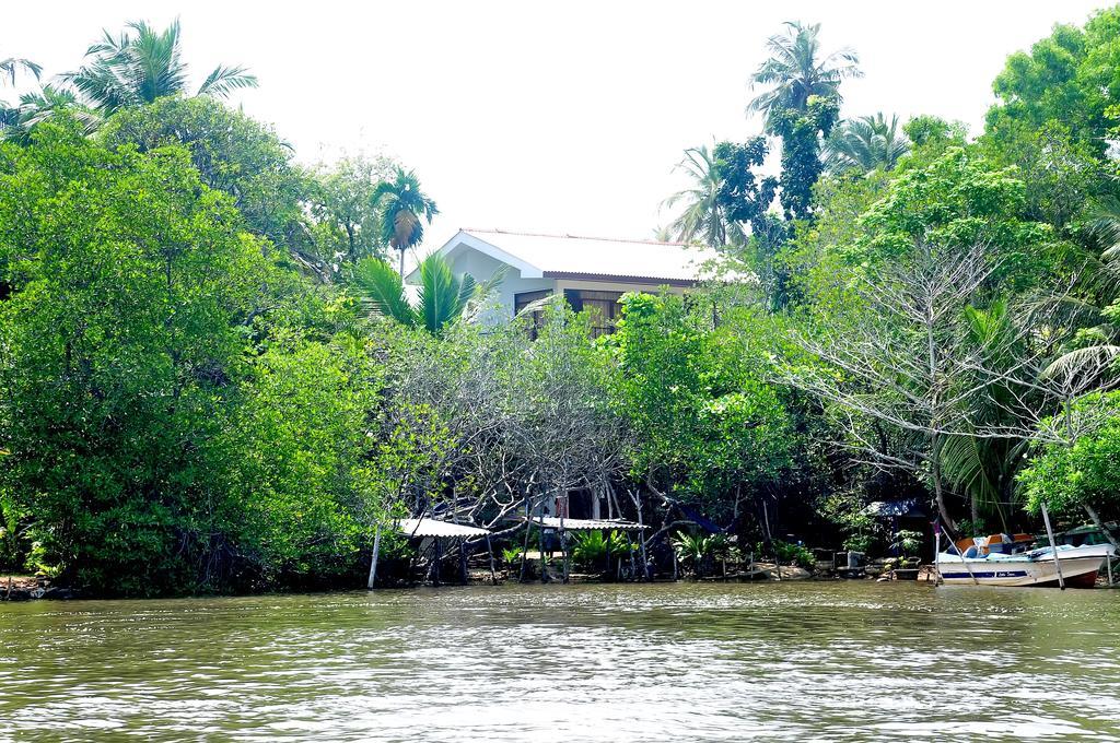 Little Swan Guest House Bentota Exterior foto