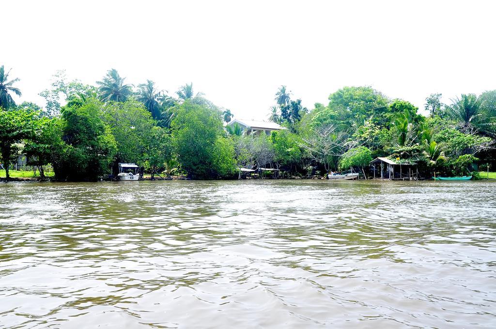 Little Swan Guest House Bentota Exterior foto